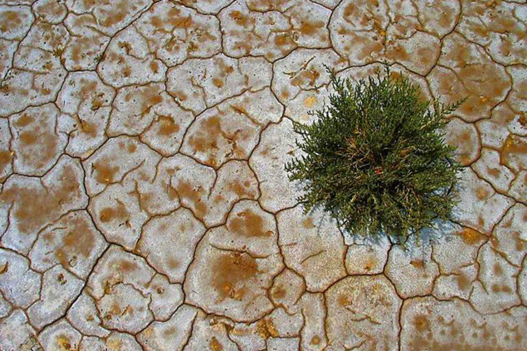 کوددهی در خاک اسیدی و قلیایی