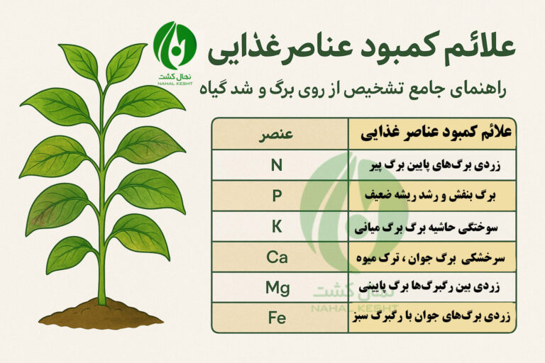 علائم کمبود عناصر در محصولات باغی و زراعی