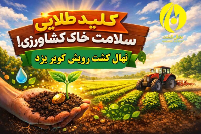 سلامت خاک کشاورزی،راز کاهش هزینه تولید و افزایش محصول